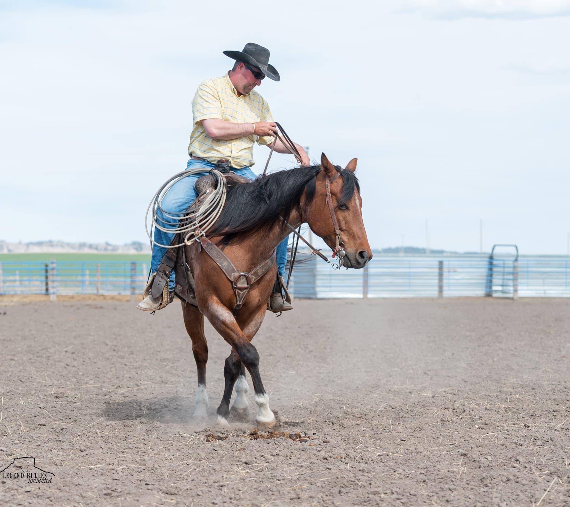 JACK N SHINE - Image 9