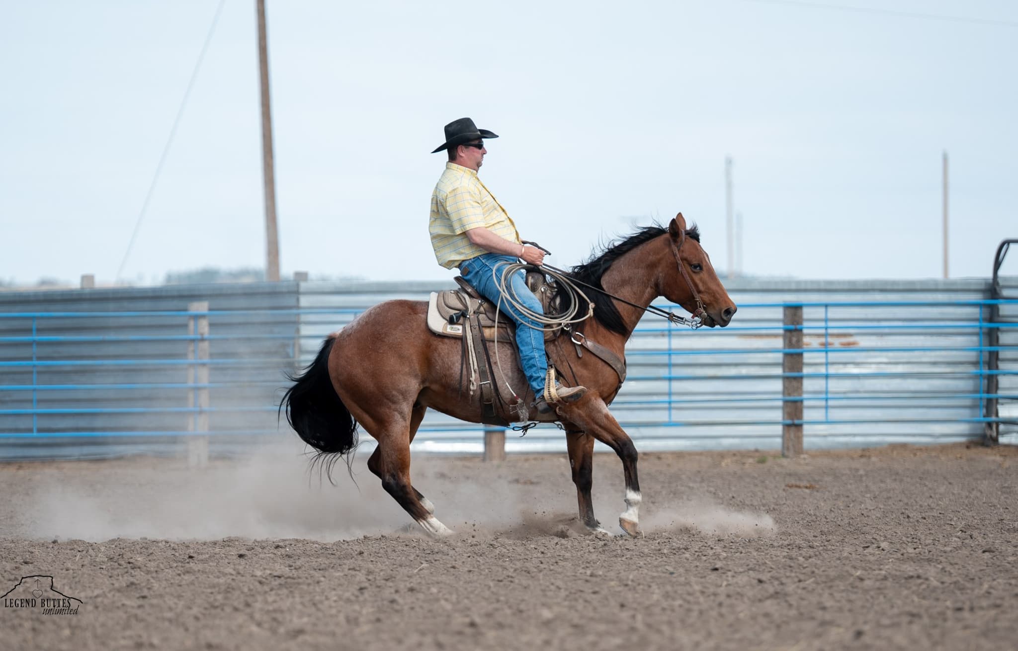 JACK N SHINE - Image 12