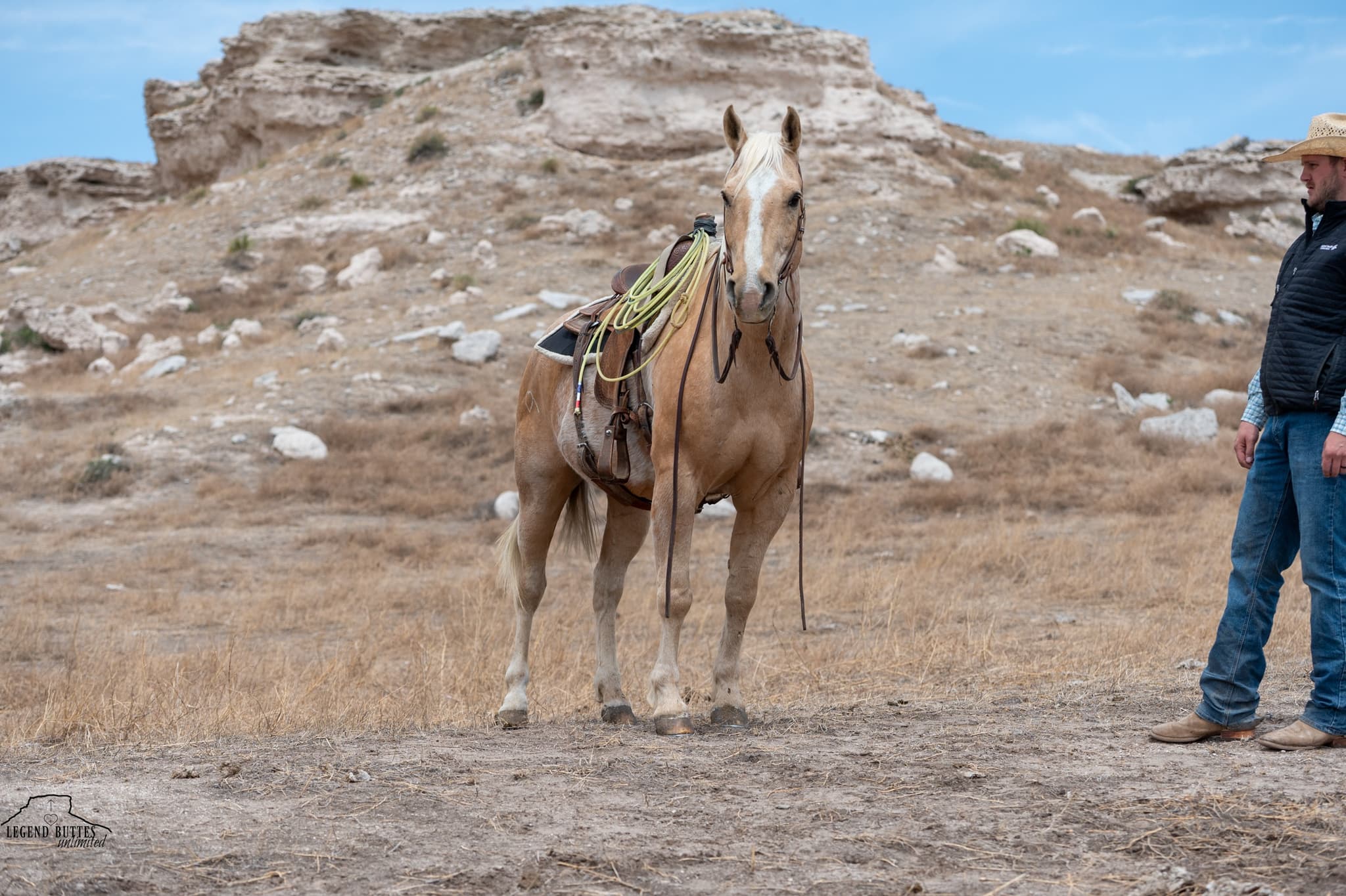 SONNY - Image 11