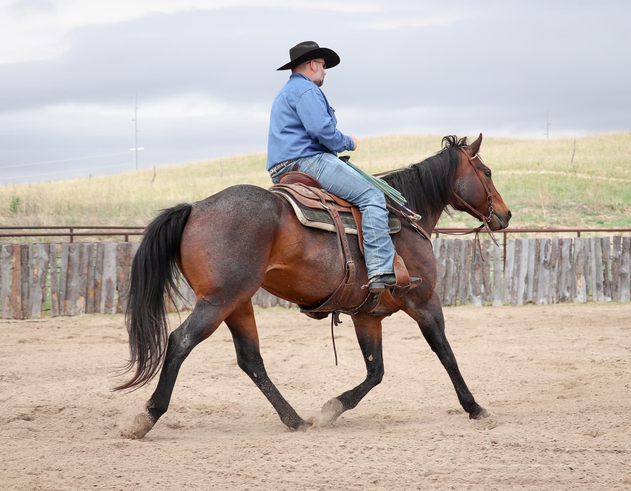 STORMYS LUCKY ROAN - Image 14