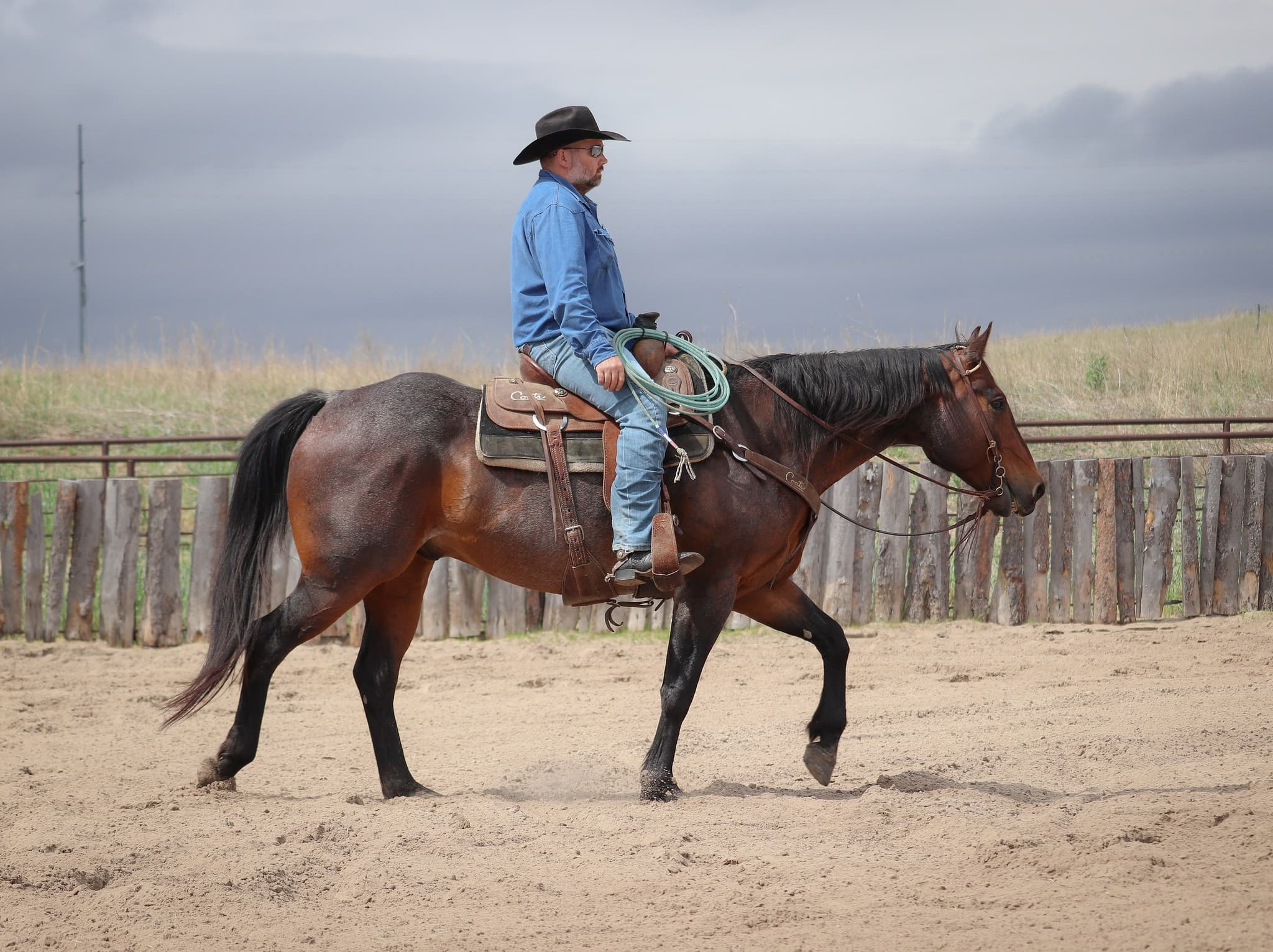STORMYS LUCKY ROAN - Image 16