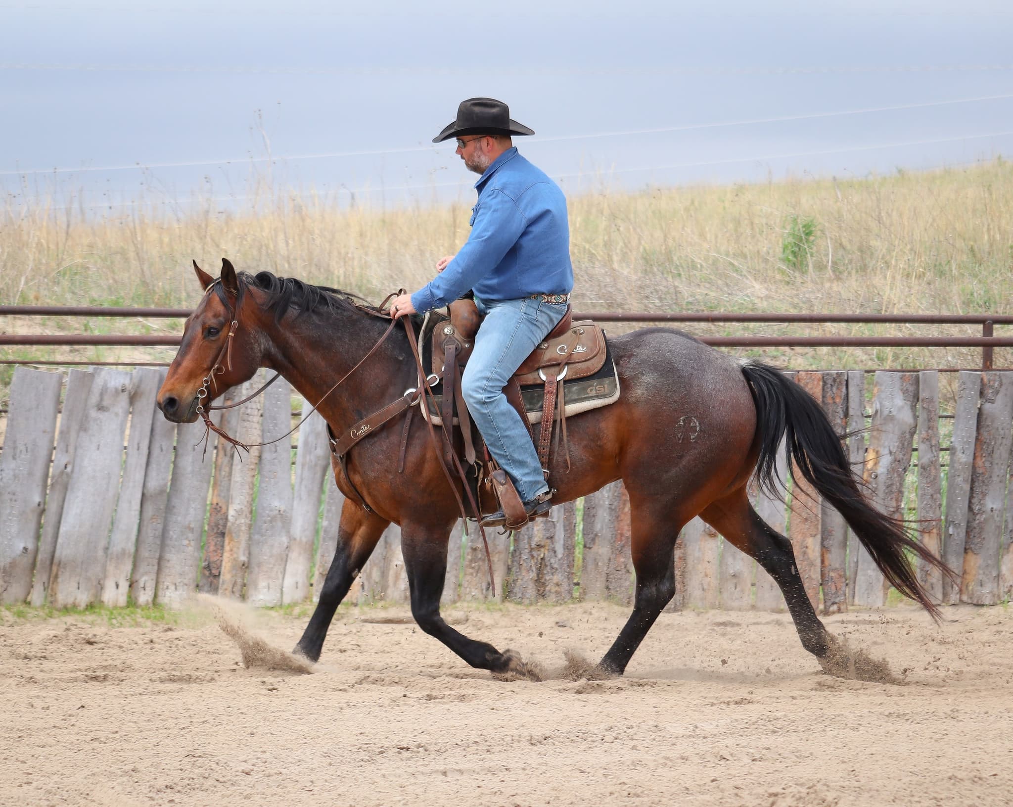 STORMYS LUCKY ROAN - Image 13