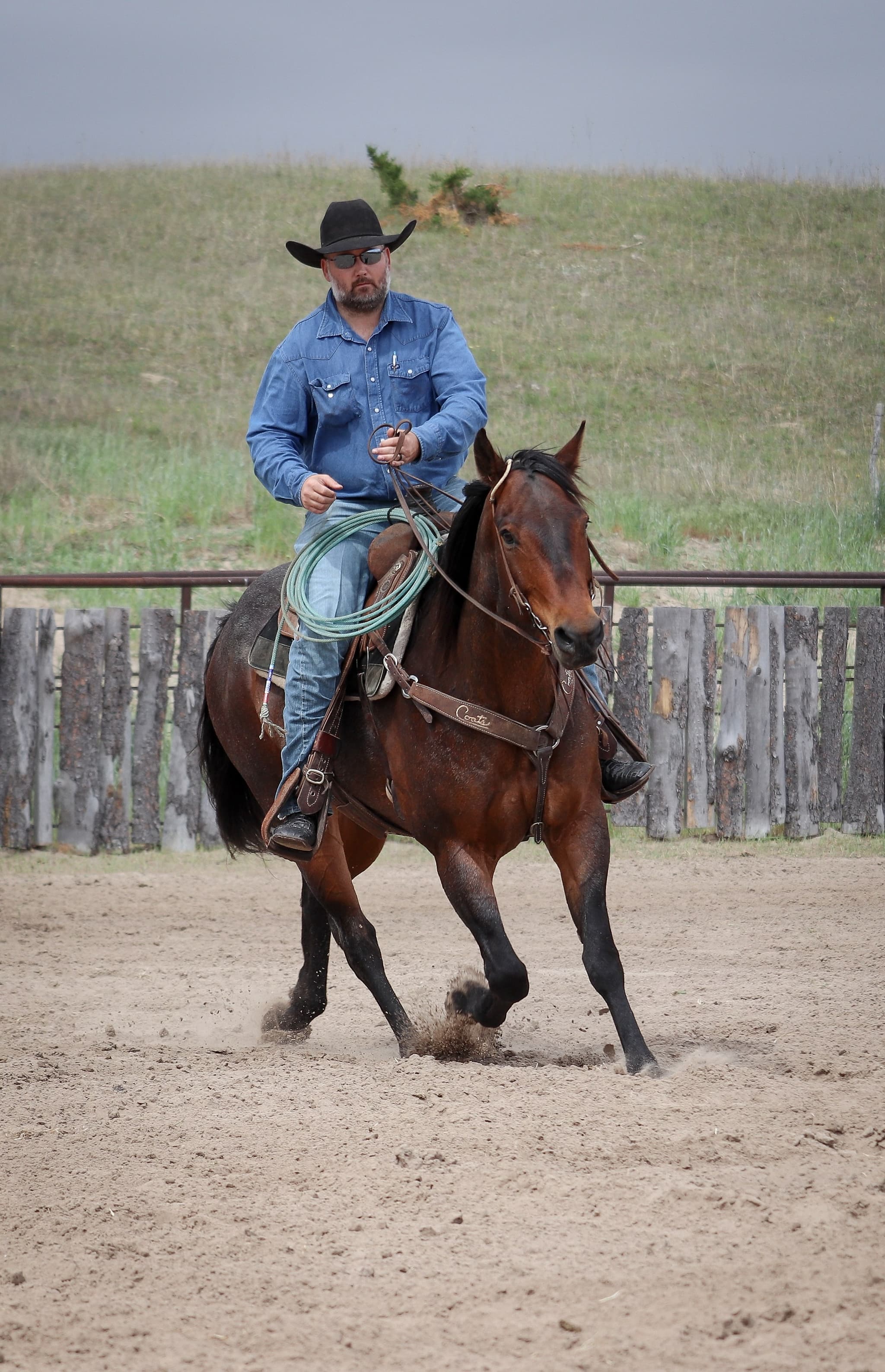 STORMYS LUCKY ROAN - Image 11