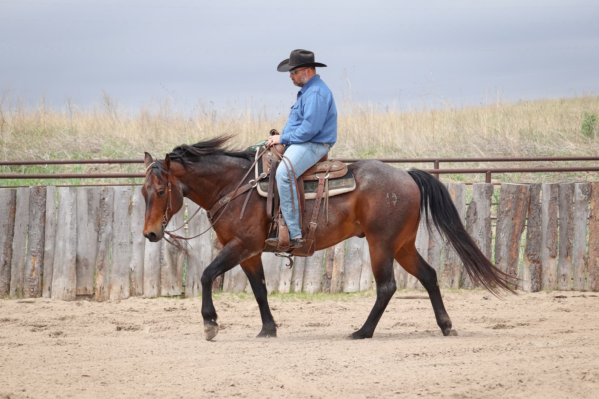 STORMYS LUCKY ROAN - Image 17