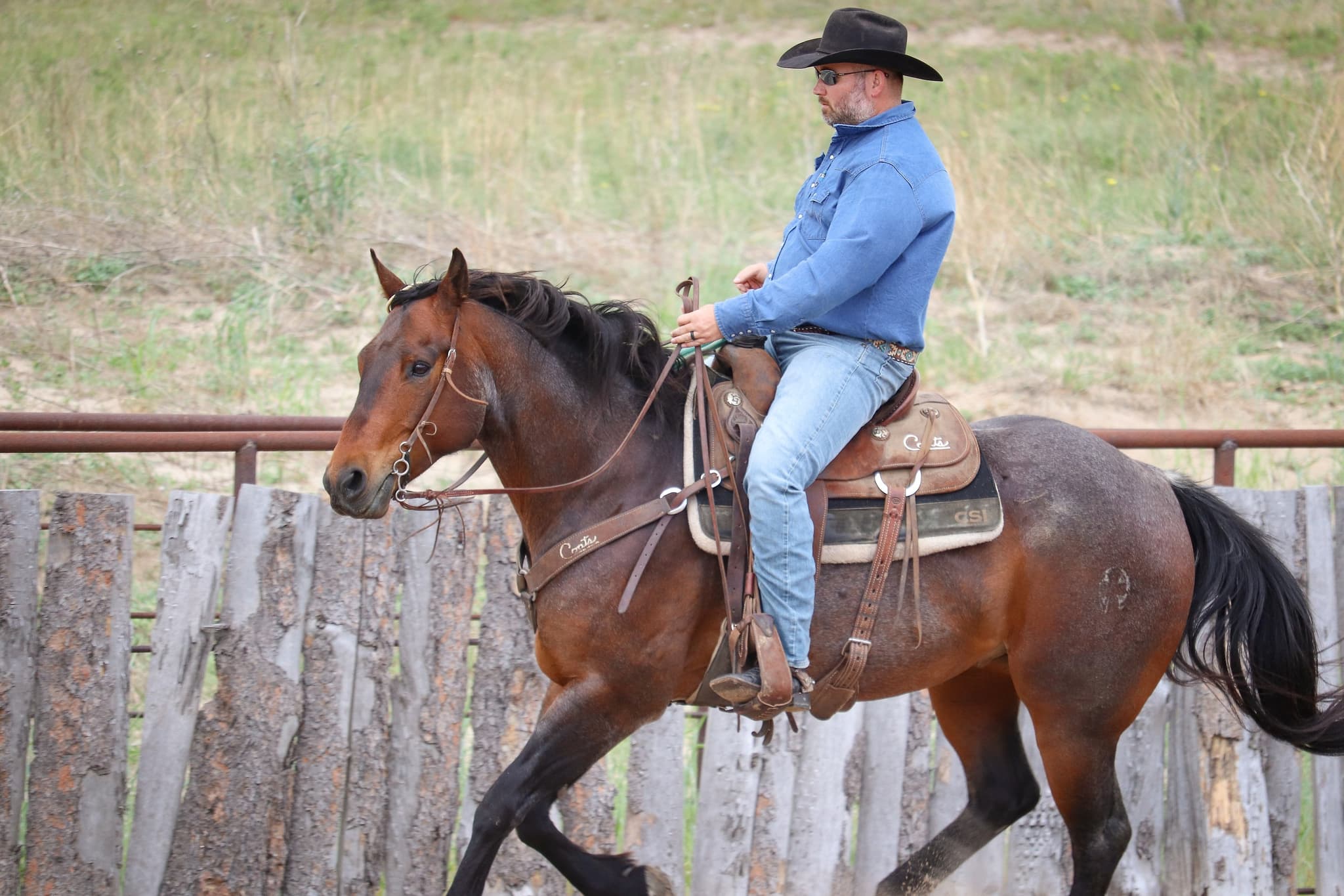 STORMYS LUCKY ROAN - Image 5