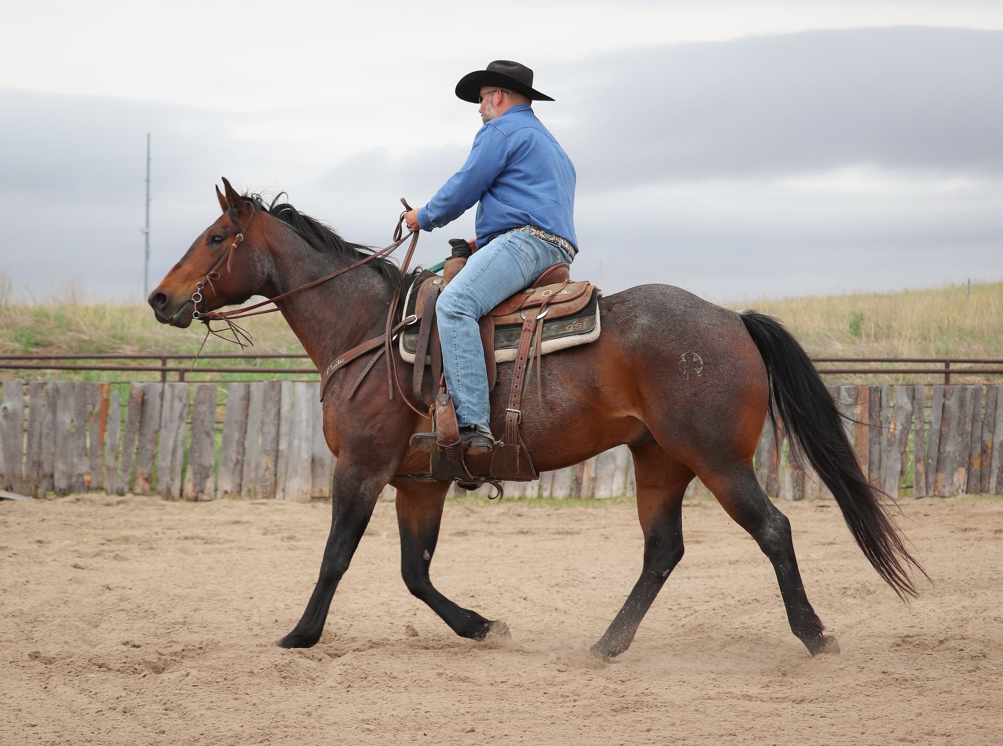 STORMYS LUCKY ROAN - Image 10