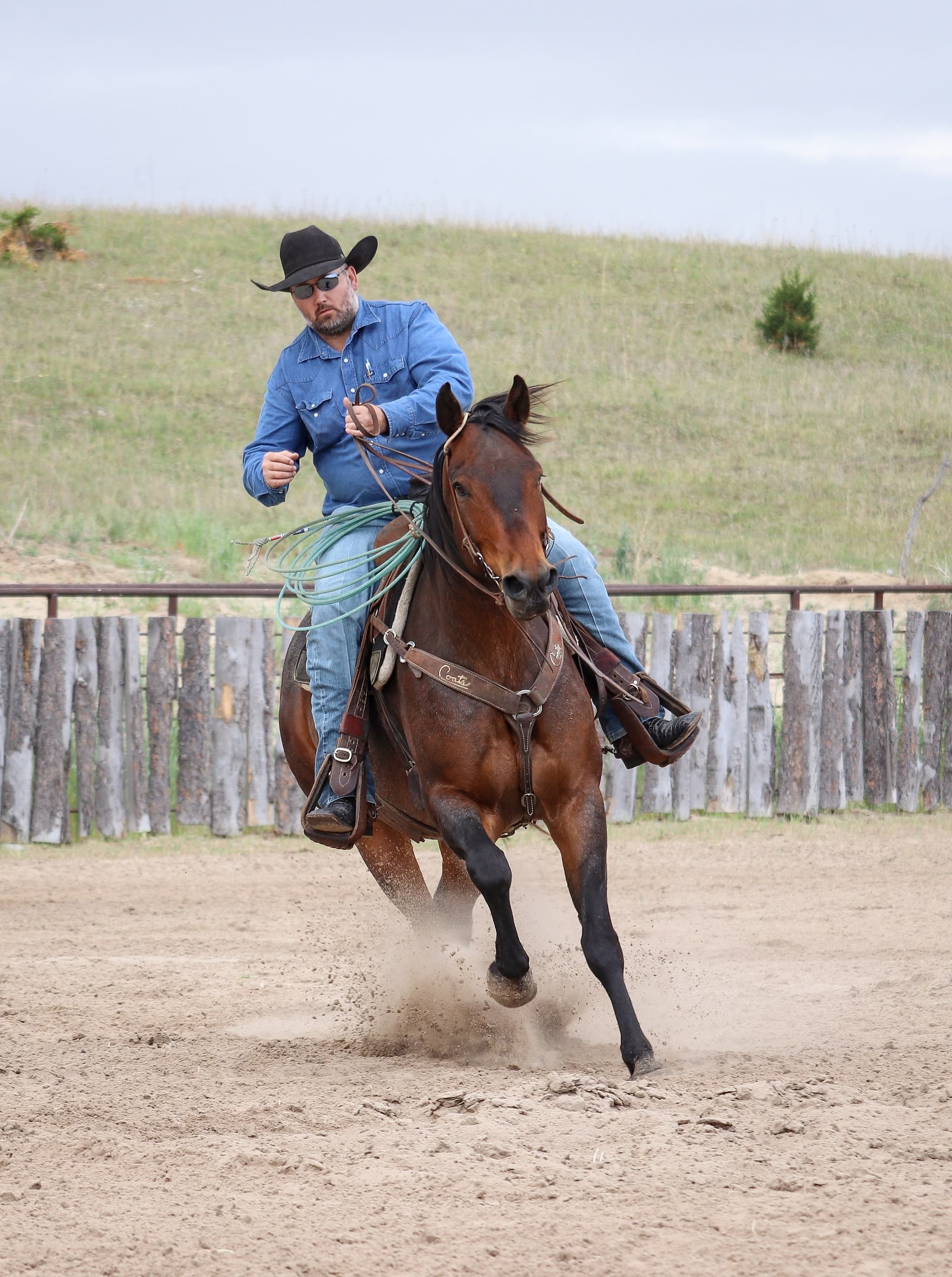STORMYS LUCKY ROAN - Image 7