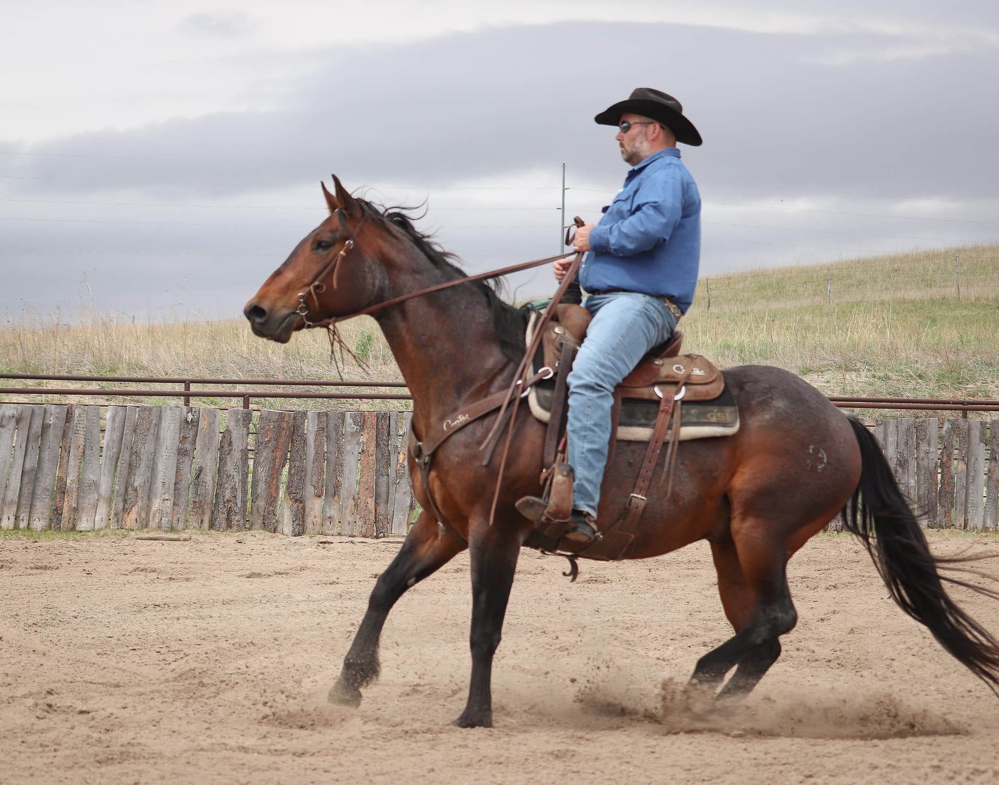 STORMYS LUCKY ROAN - Image 12