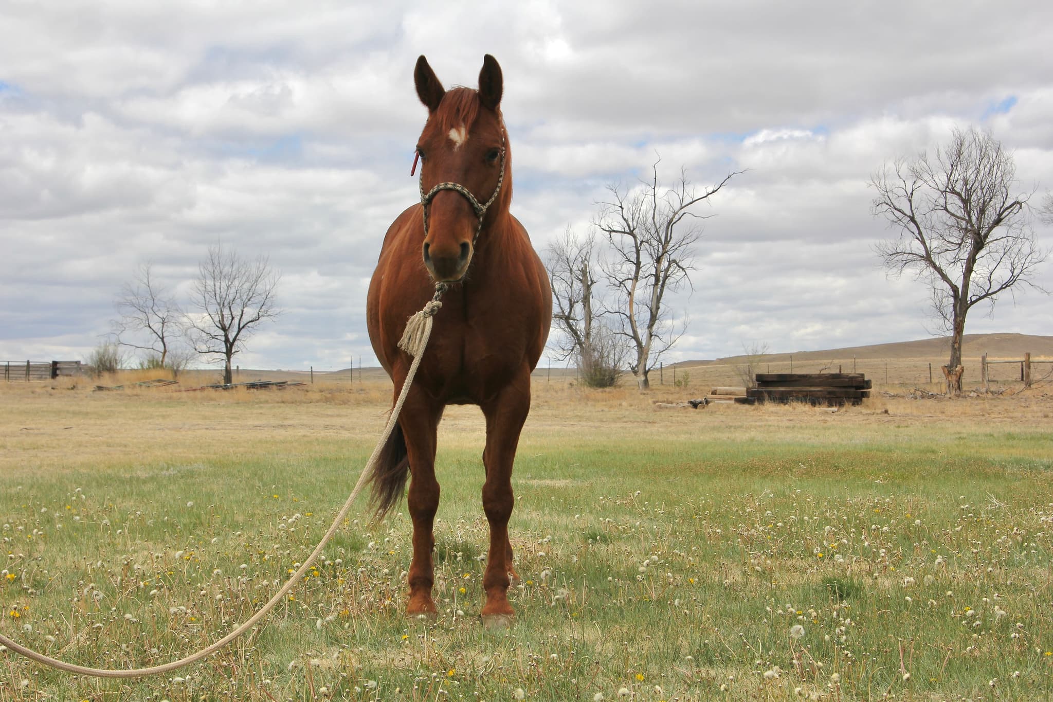 SWEET LIL SPOONFUL - Image 16