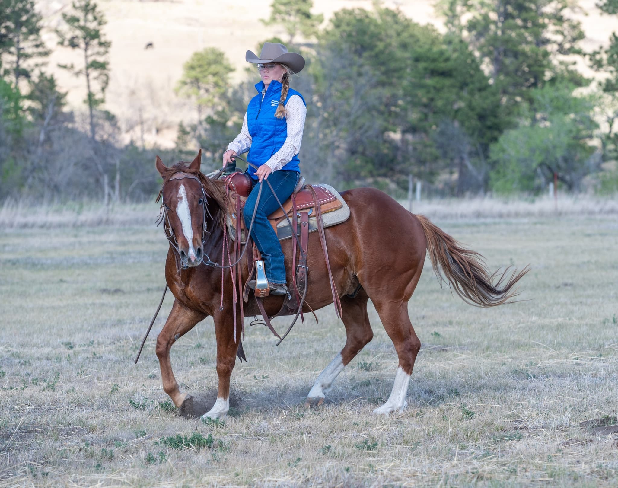 RIVERBOTTOM RALPHIE - Image 6