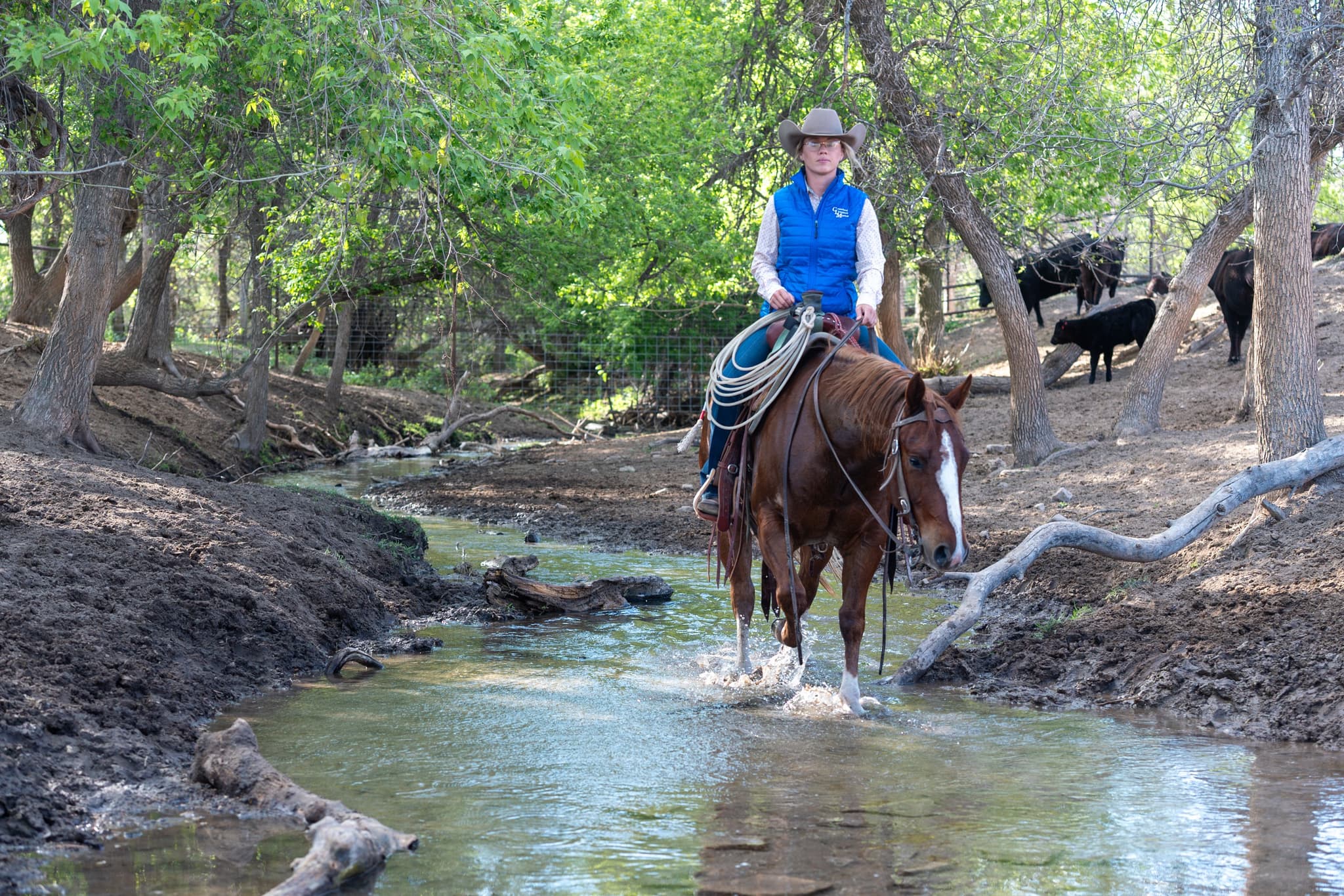 RIVERBOTTOM RALPHIE - Image 5