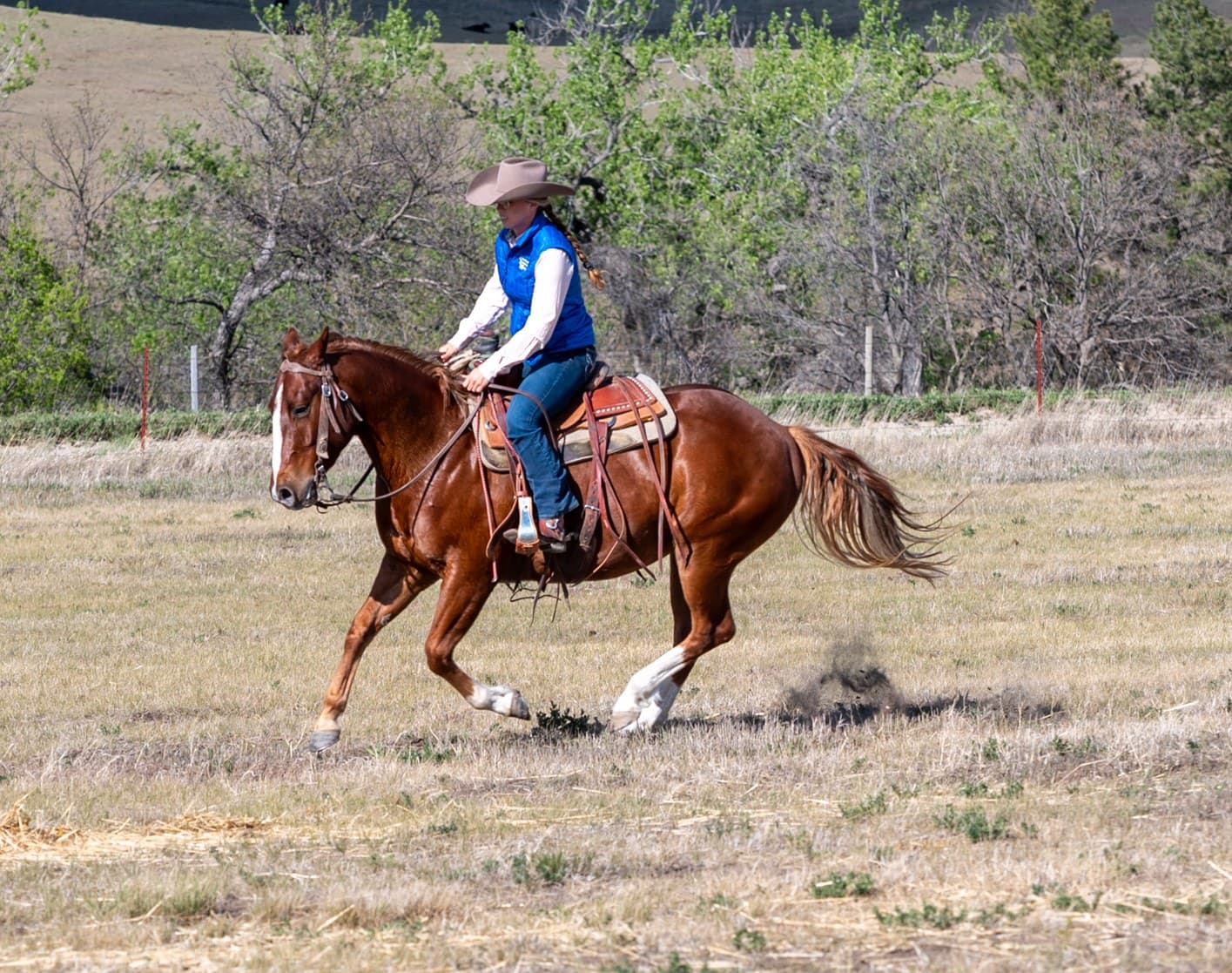 RIVERBOTTOM RALPHIE - Image 11