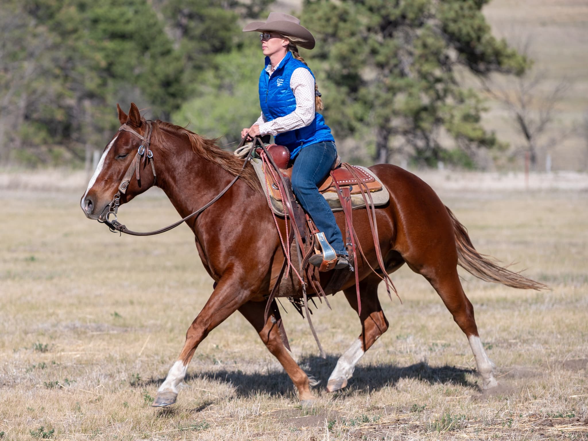 RIVERBOTTOM RALPHIE - Image 8
