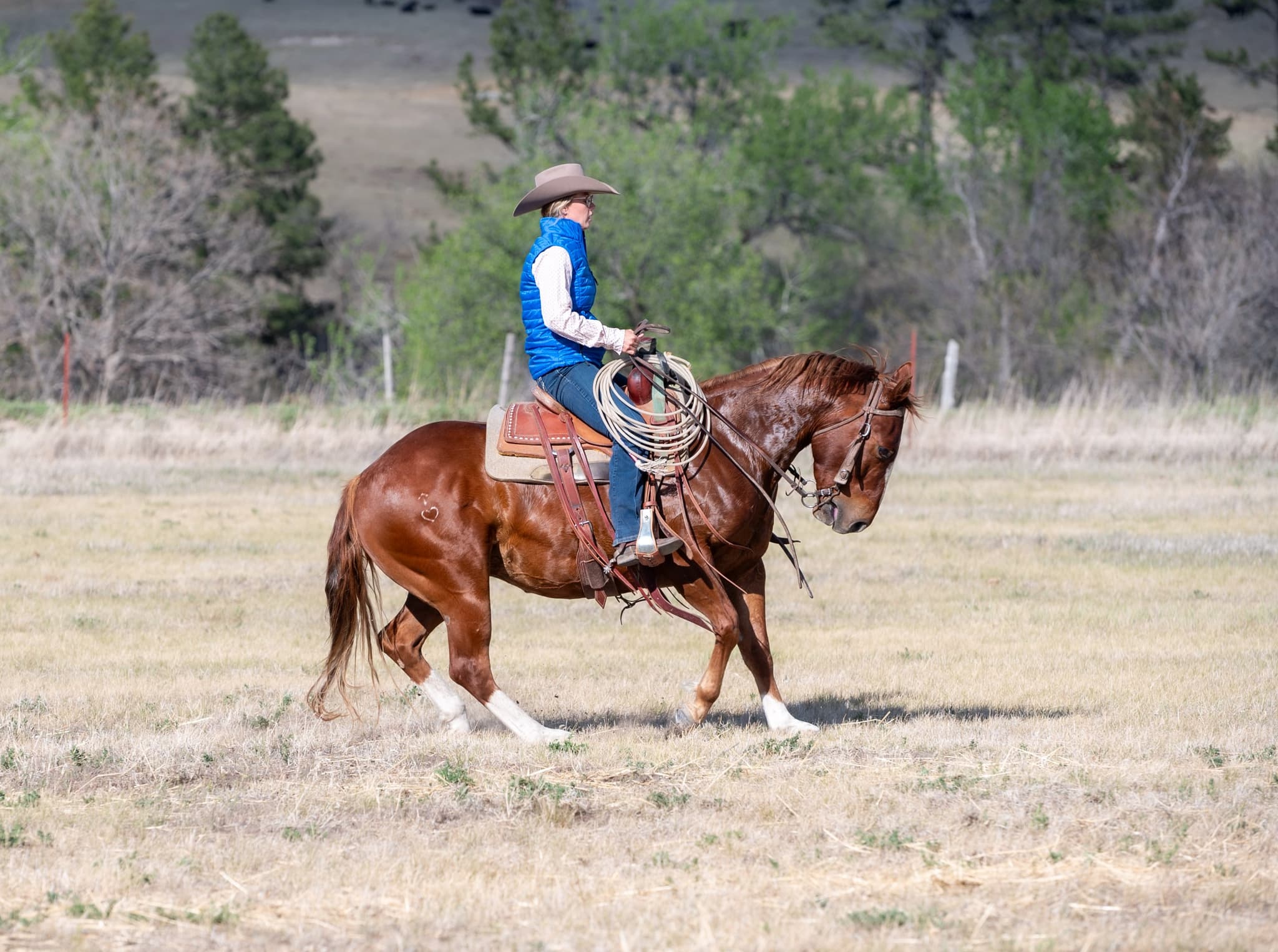 RIVERBOTTOM RALPHIE - Image 7
