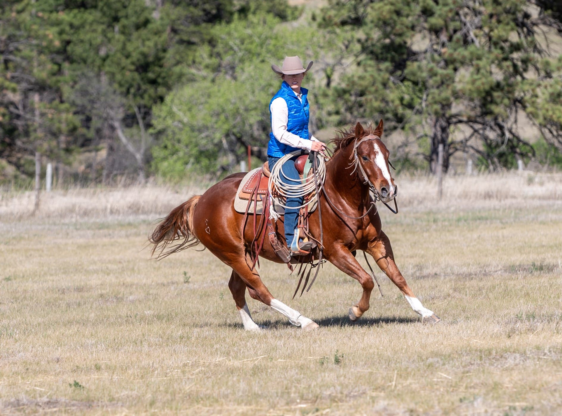 RIVERBOTTOM RALPHIE - Image 9
