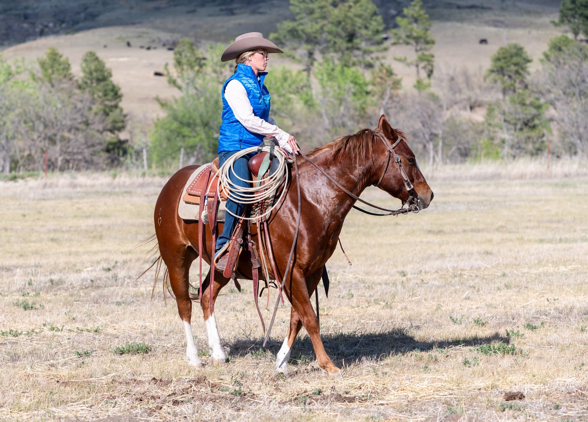RIVERBOTTOM RALPHIE - Image 10