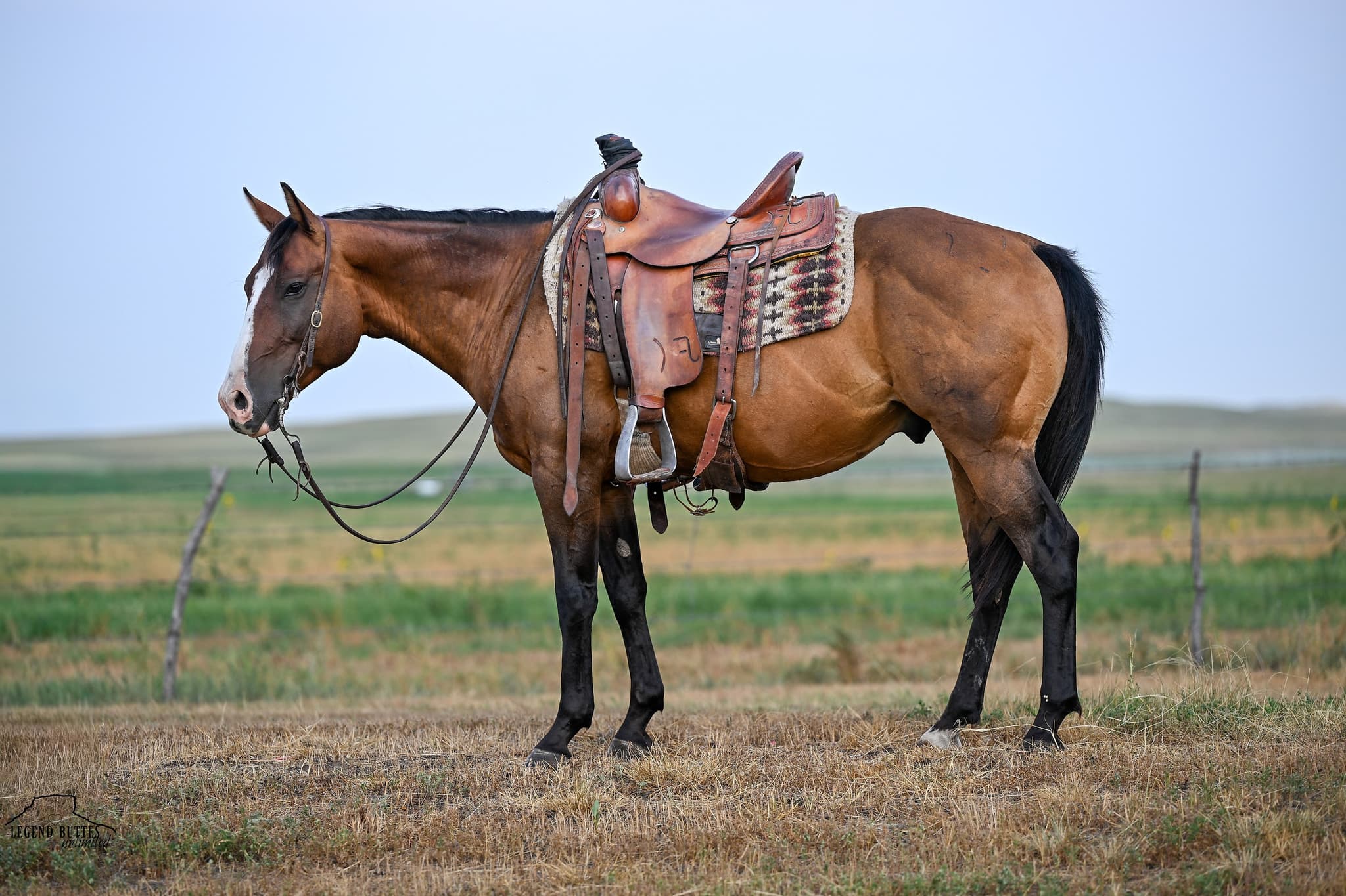 FARMER - Image 1