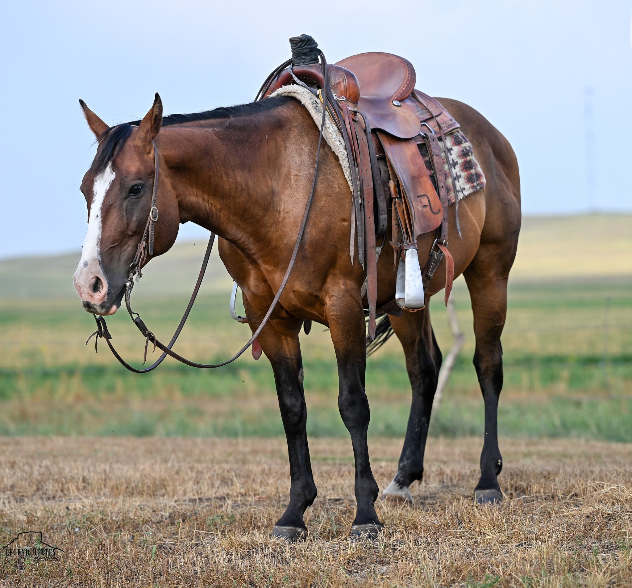 FARMER - Image 8