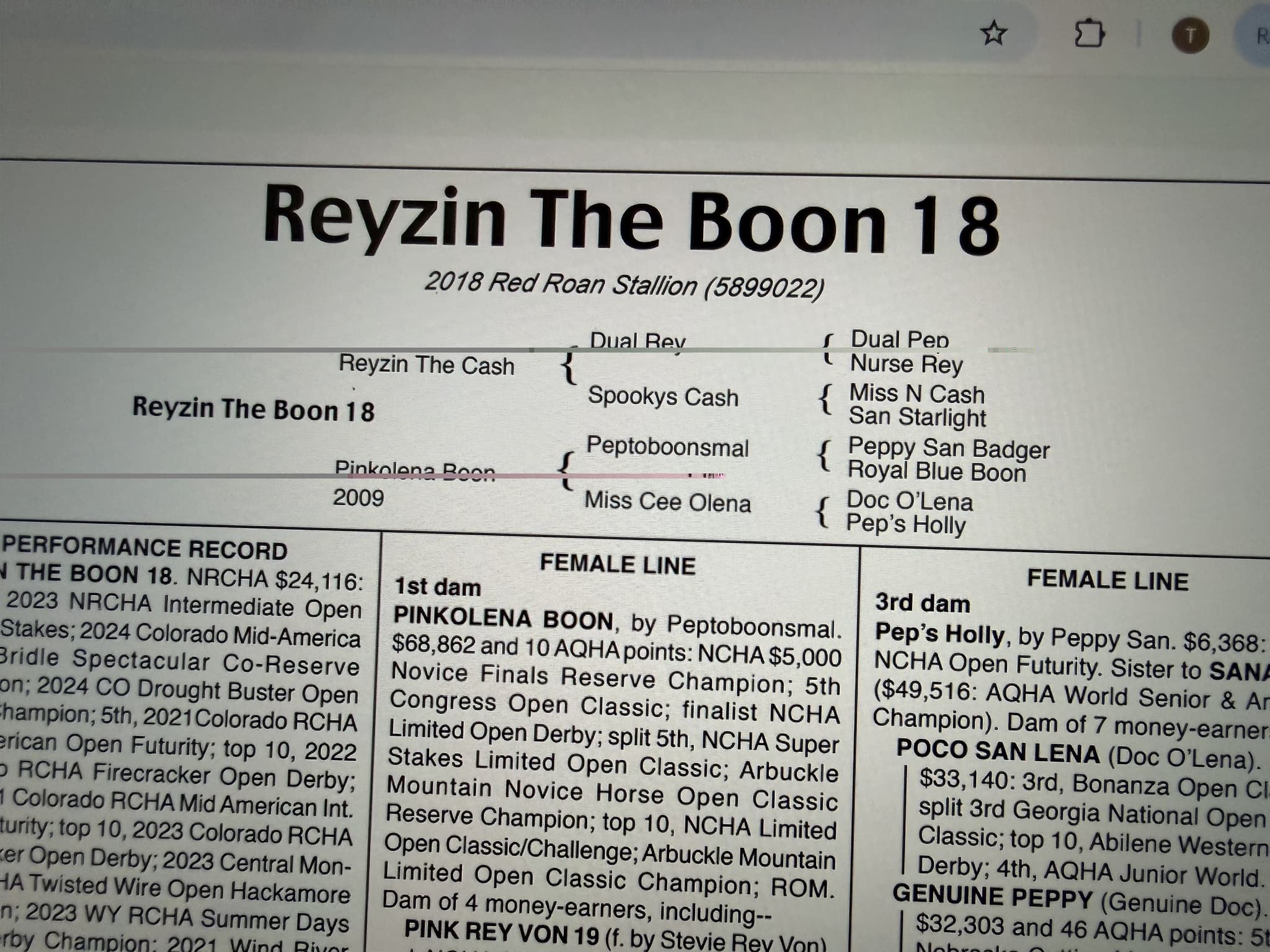 REYZINS FROSTY PEPTO - Image 7