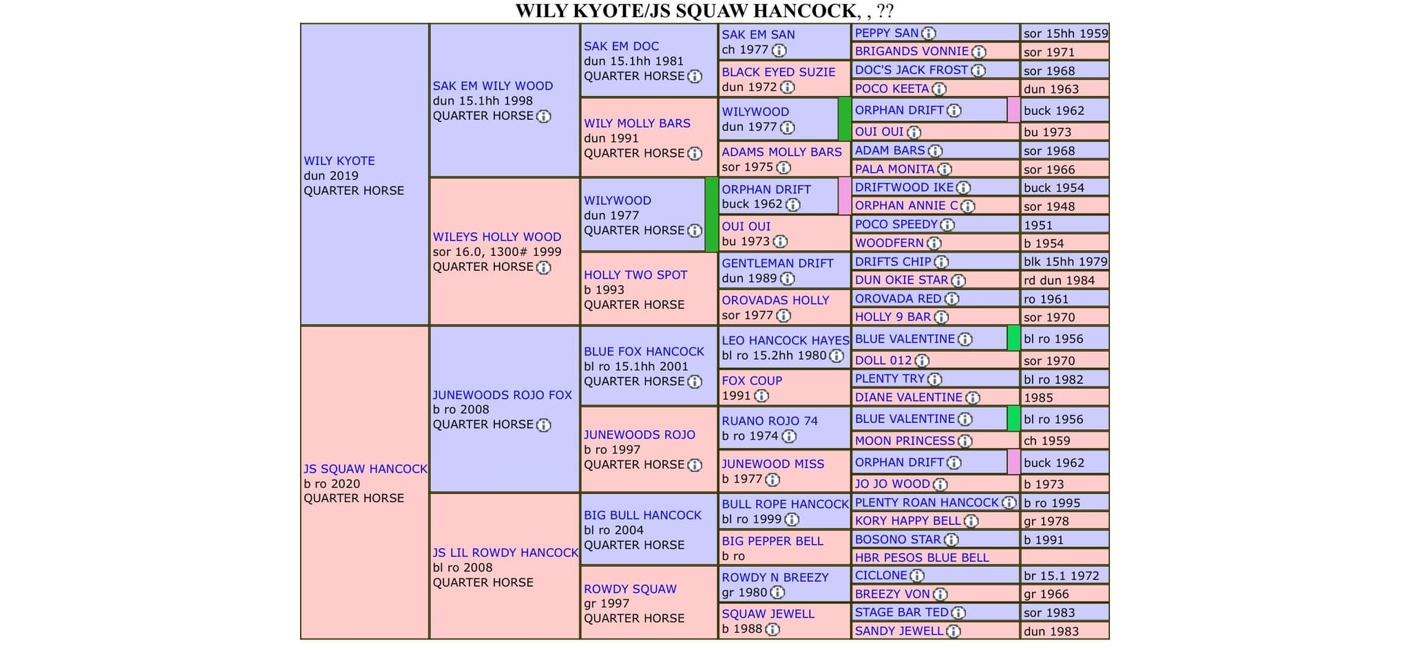 AQHA Pending - Image 4