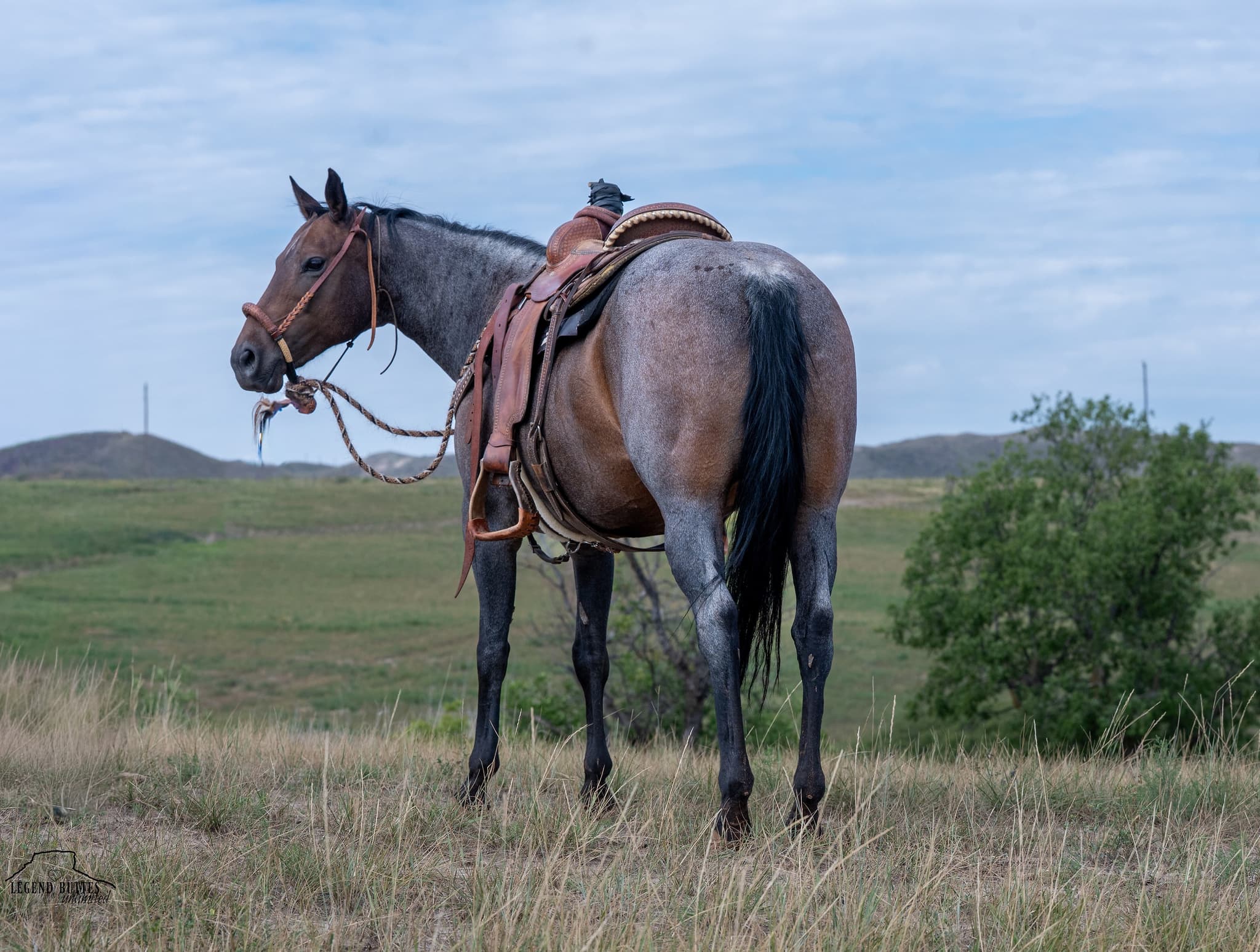 DUNNIT STAR - Image 18
