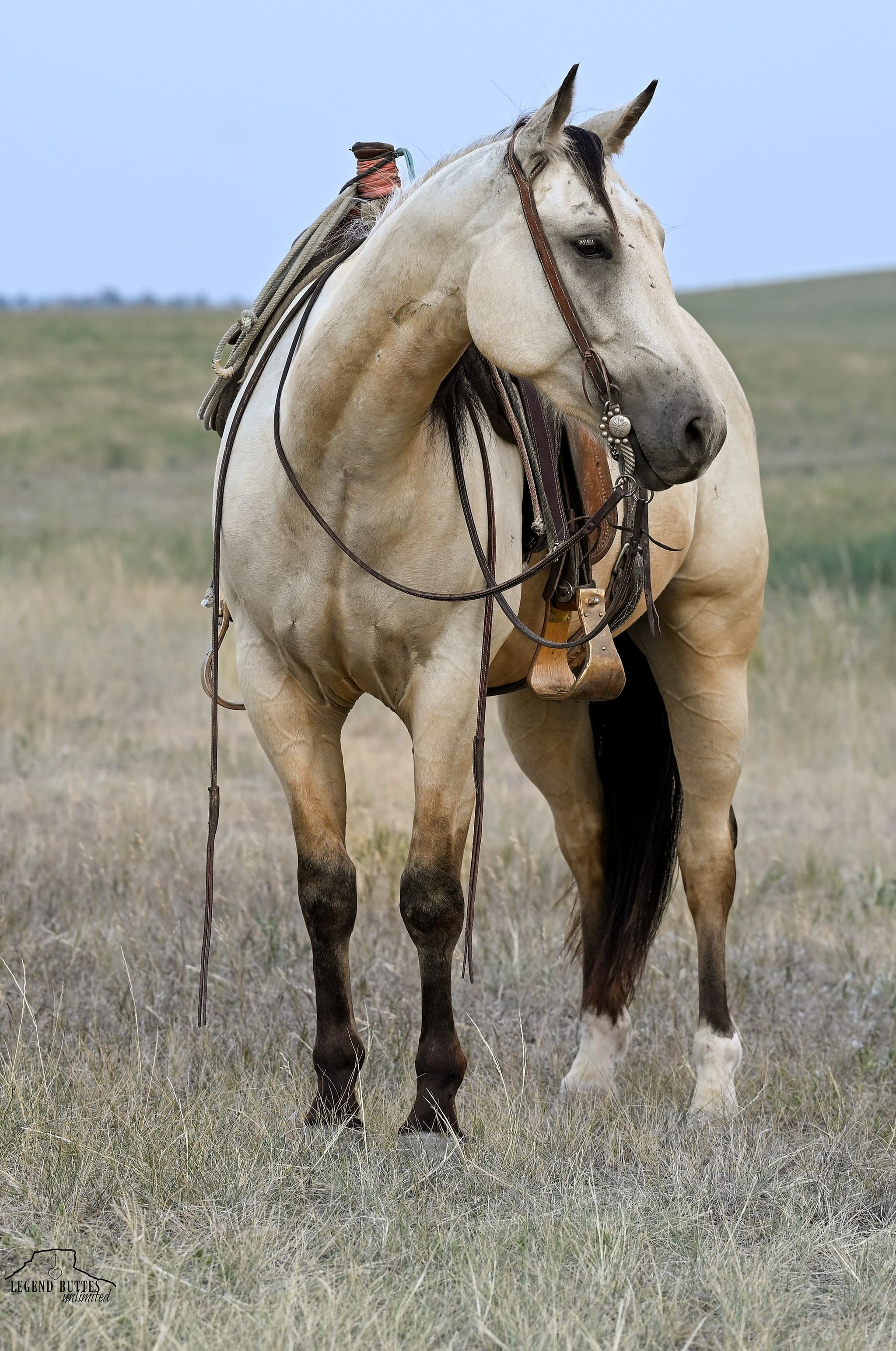 ALL EYES ON ME MIG - Image 15