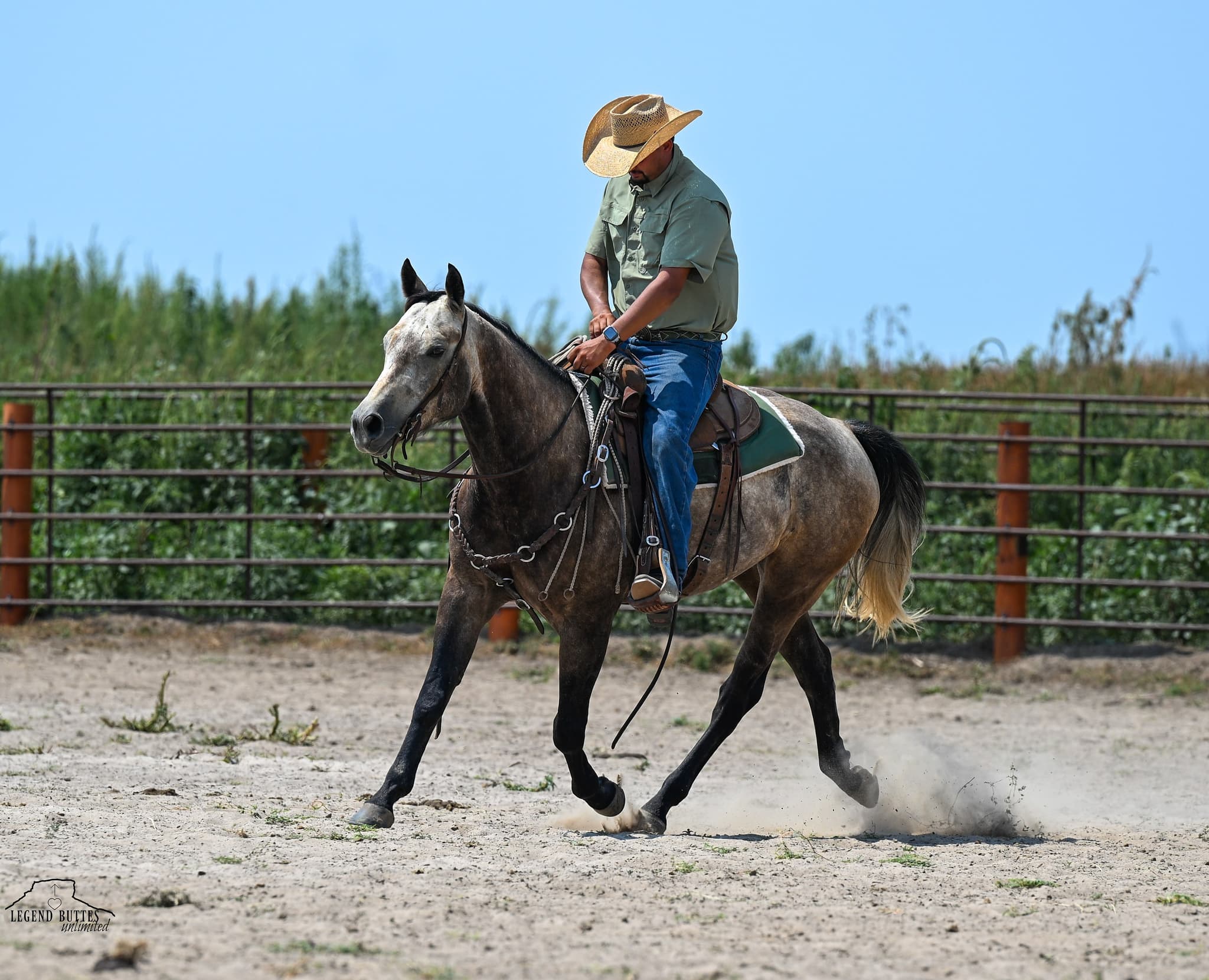 JCI NATURAL BUCKAROO - Image 3