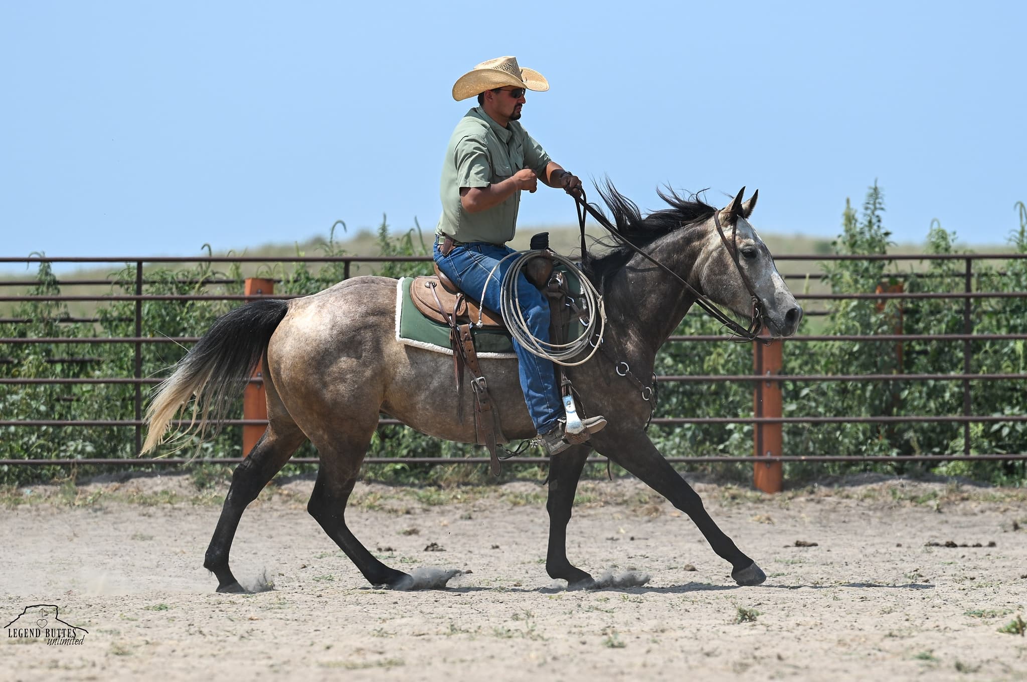 JCI NATURAL BUCKAROO - Image 8