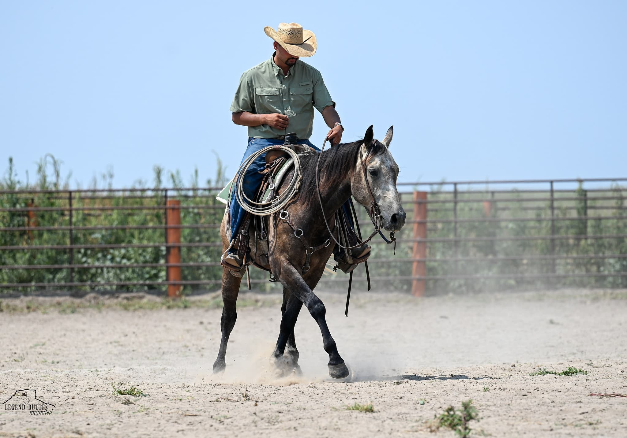 JCI NATURAL BUCKAROO - Image 7