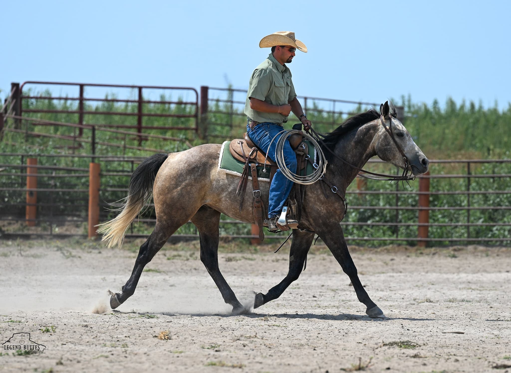 JCI NATURAL BUCKAROO - Image 6