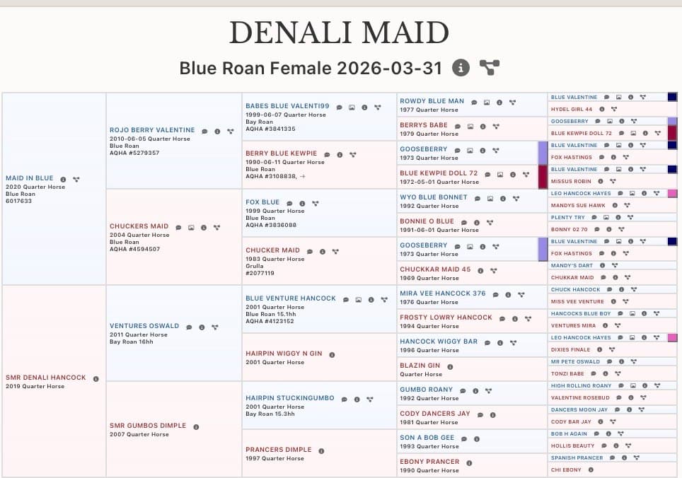 AWH DENALI MAID - Image 2
