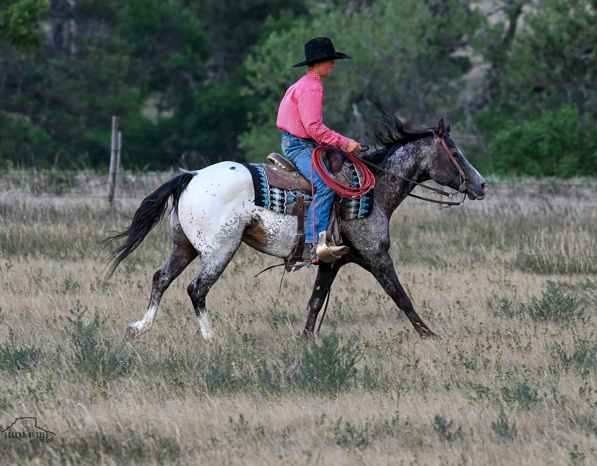 MR. DIBBLES - Image 9
